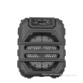 In Stock New Model Double 6.5 Inch BT Portable Trolley Speaker - GTS-1398